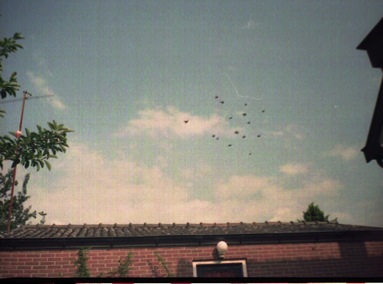 Scannen0002